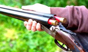 Armas de ocasión - Rifles y escopetas de segunda mano