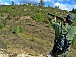 Armas nuevas y armas de ocasión - Armas y accesorios de calidad