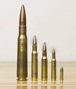 Venta de munición para armas de caza