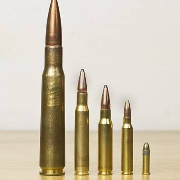 Venta de munición para armas de caza